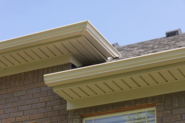 Roof Fascia Replacement