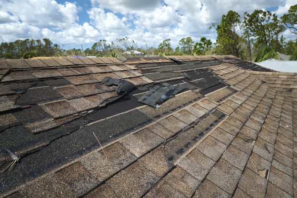 Roof Damage Repair in Sheboygan