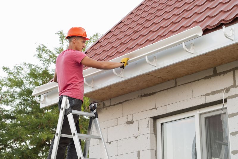 Gutter and Roof Edge Maintenance