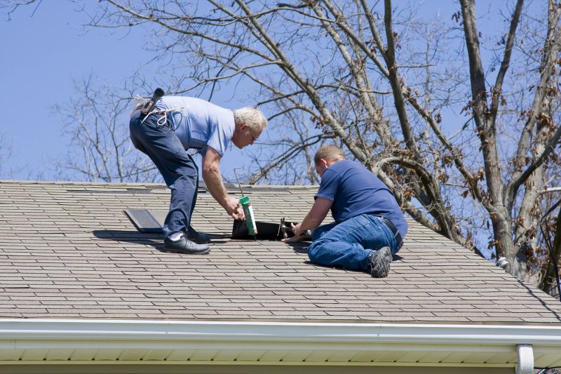 Experienced Roof Repair Technician