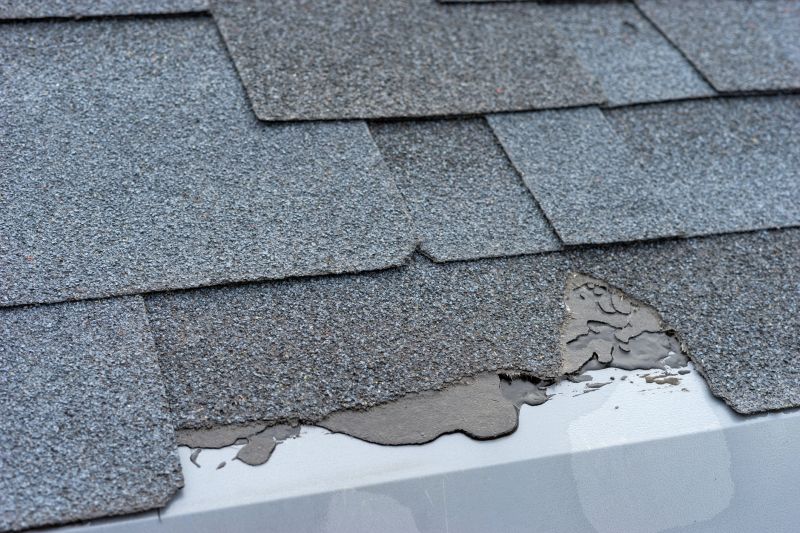 Causes Of Asphalt Shingle Damage And When Repair Is Enough